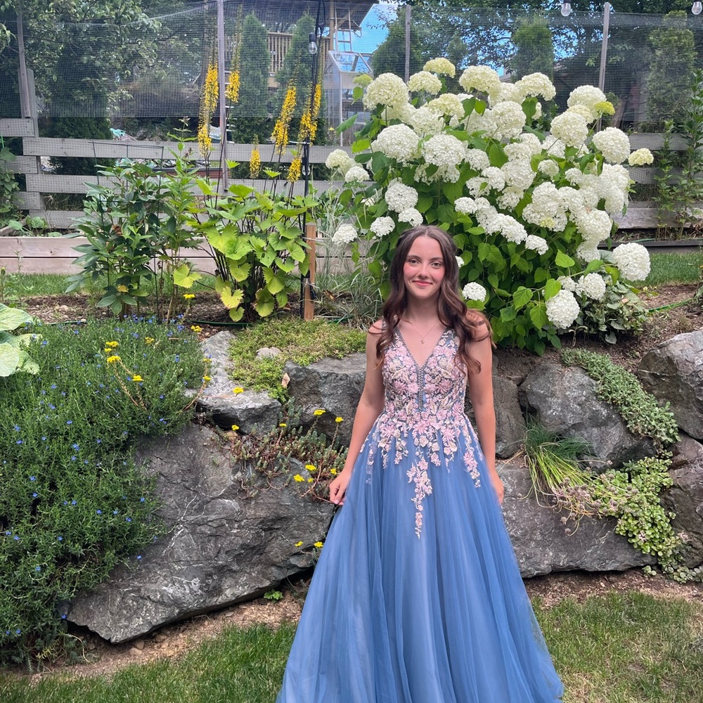 Gorgeous Blue Tulle and Lace Gown with Pink Embroidery